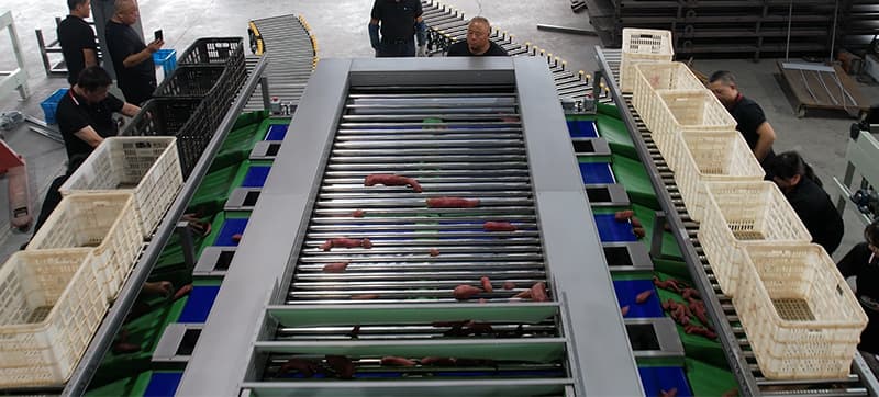 images/1686912438584potato size grader.jpg